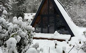 A-huis in het bos van Drenthe